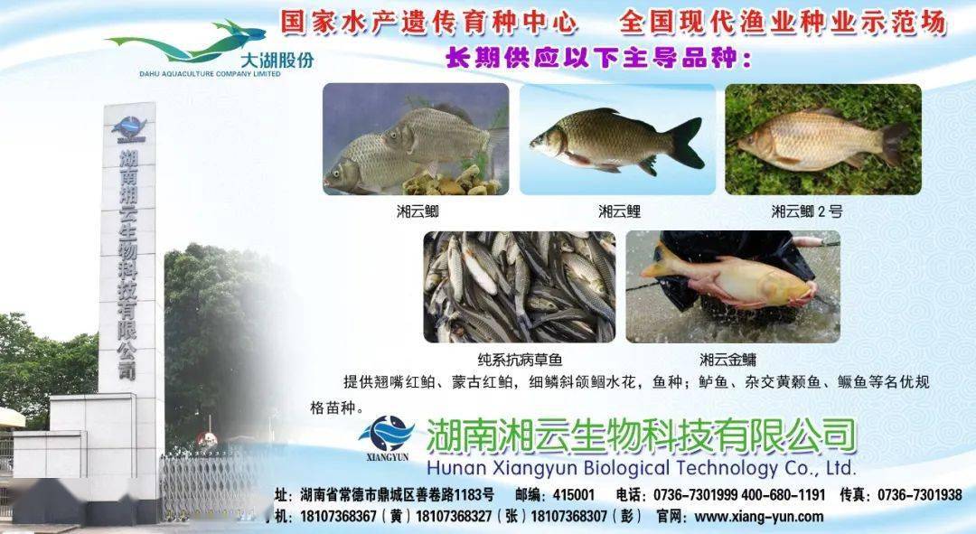 陆圆宝